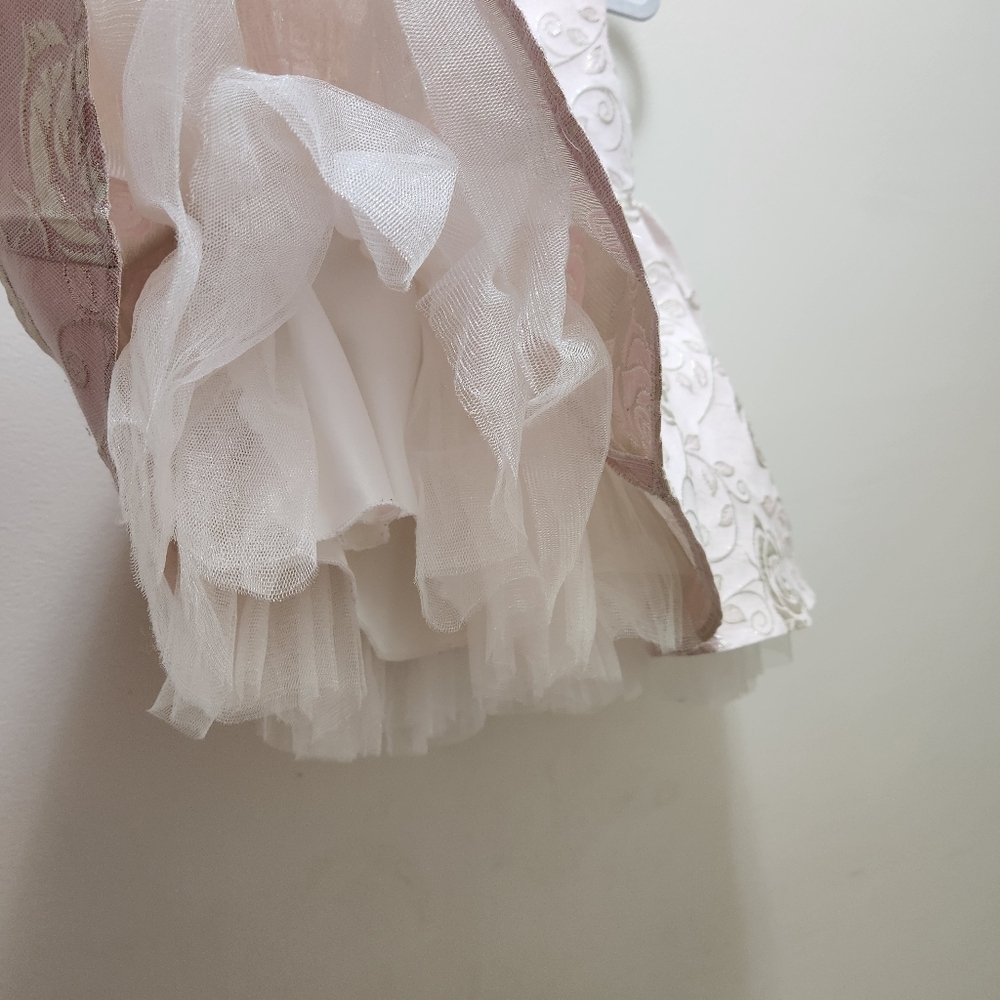 American Princess Blush and Gold Rose Dress Size 3T - Picture 5 of 9